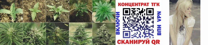 ТГК вейп  наркошоп  Баксан 