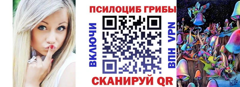 гидра вход  купить наркоту  Баксан  Псилоцибиновые грибы Psilocybe 